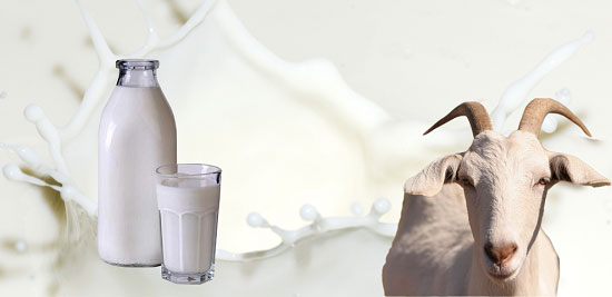 khasiat susu untuk kulit putih dan bersih