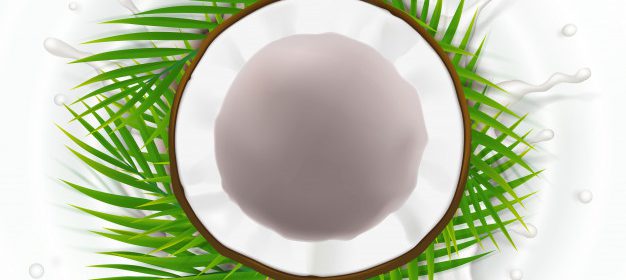 Cara Konsumsi Virgin Coconut Oil-VCO Batrisyia Herbal