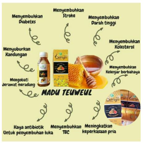 manfaat madu teuweul batrisyia