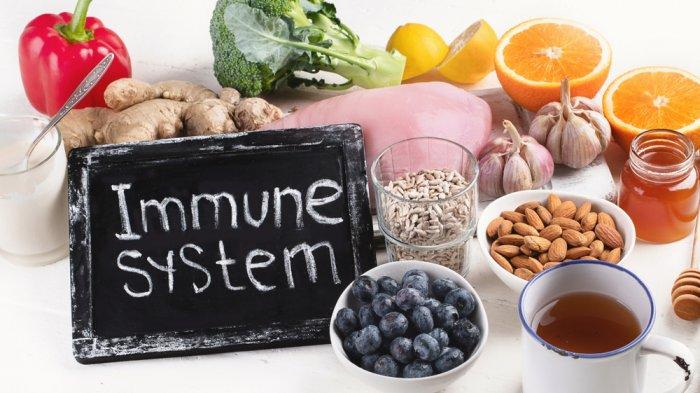 makanan untuk sistem imun kamu