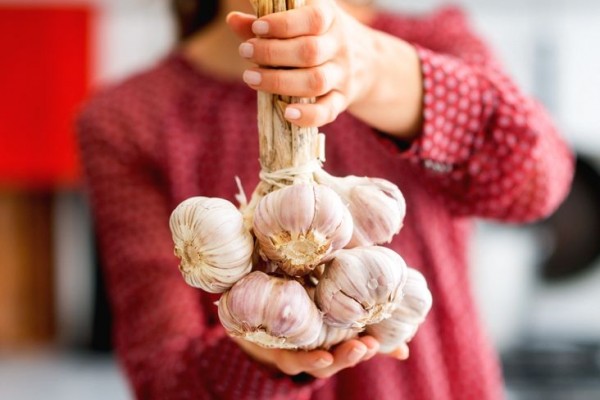 Beberapa manfaat bawang putih untuk kesehatan