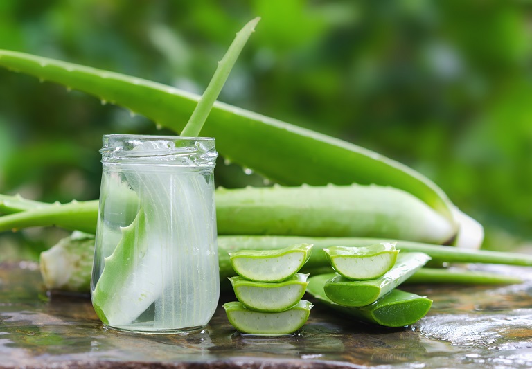 manfaat aloevera untuk kecantikan kulit