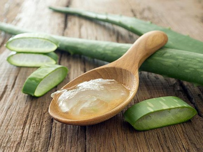 kegunaan aloe vera untuk kecantikan
