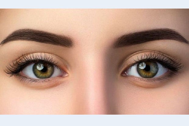eyebrow yang dapat menumbuhkan alis