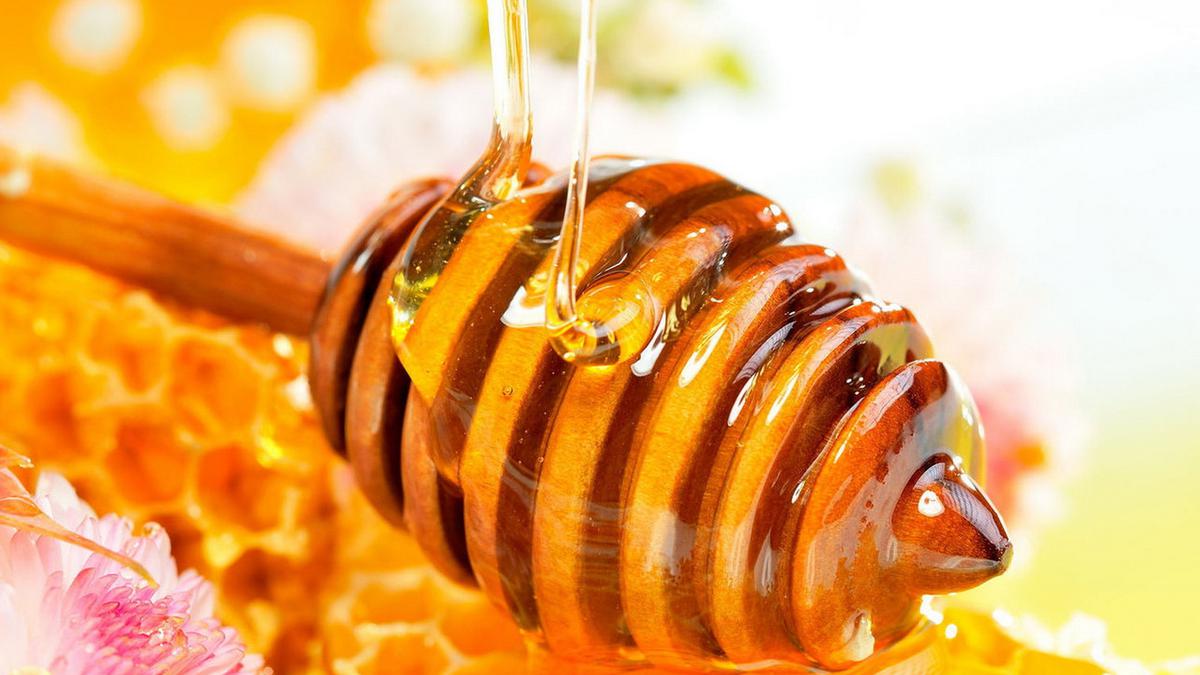 madu piihan terbaik untuk dikonsumsi setiap hari